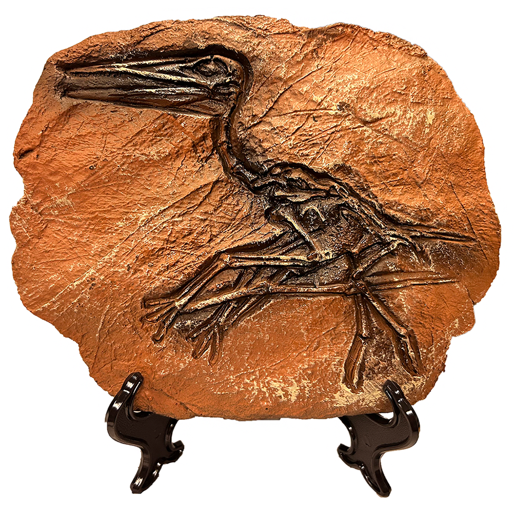 Pterosaur Prehistoric Skeleton Plaque