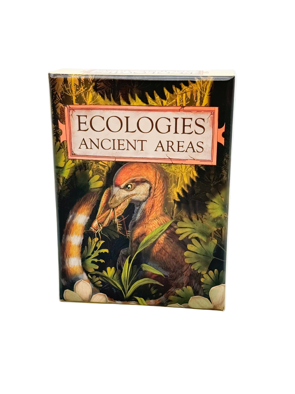 Ecologies: Ancient Areas Card Game