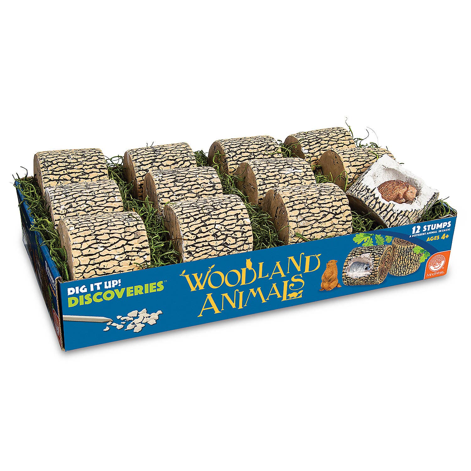 Dig It Up!: Woodland Animals