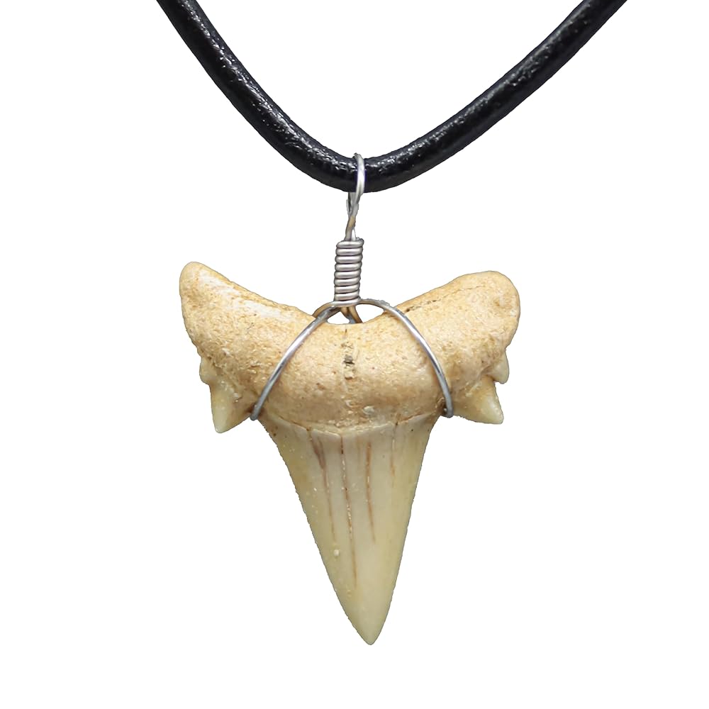Shark Tooth Necklace