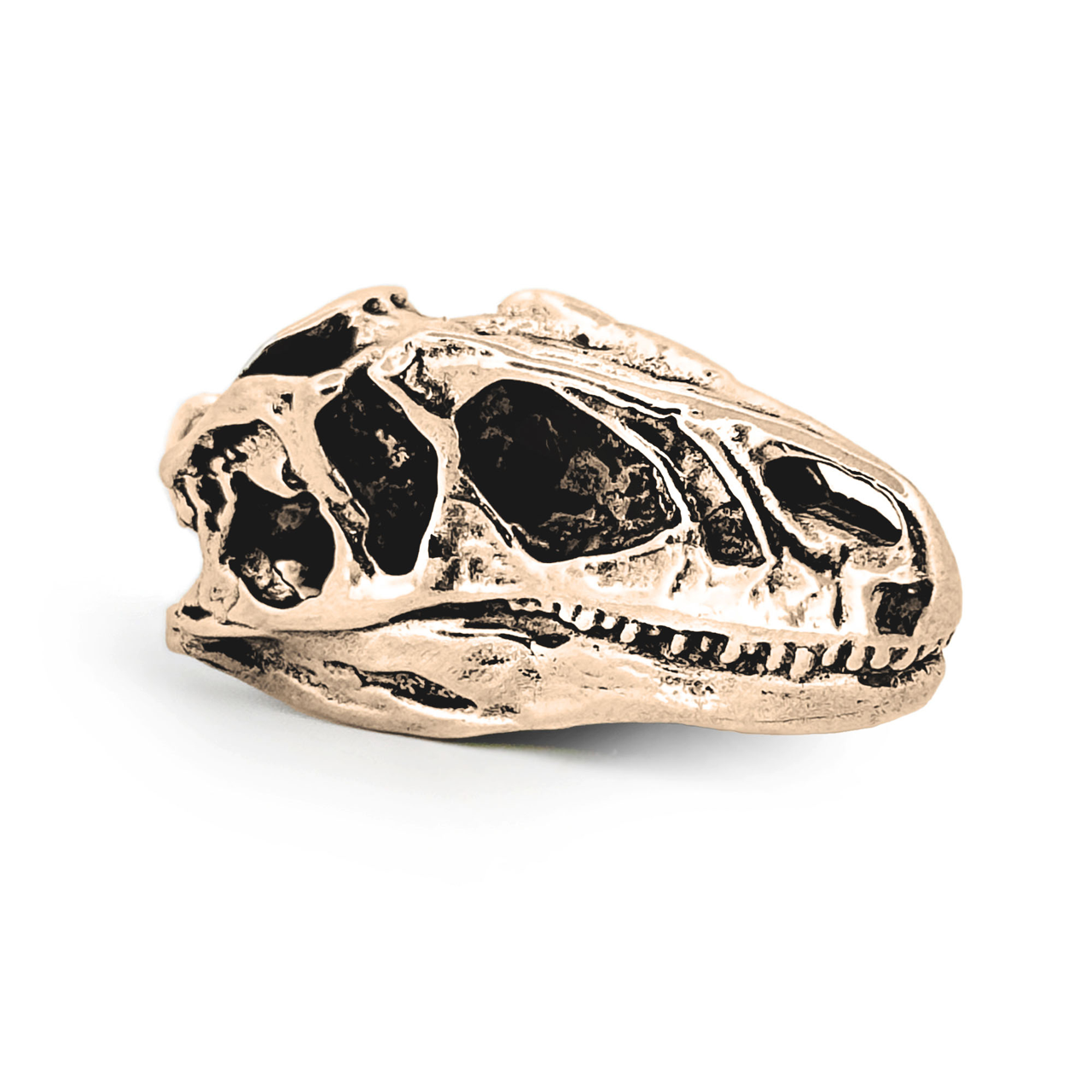 Allosaurus Necklace with Display Stand