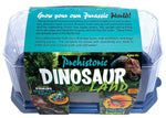 Prehistoric Dinosaur Land Mini World Terrarium