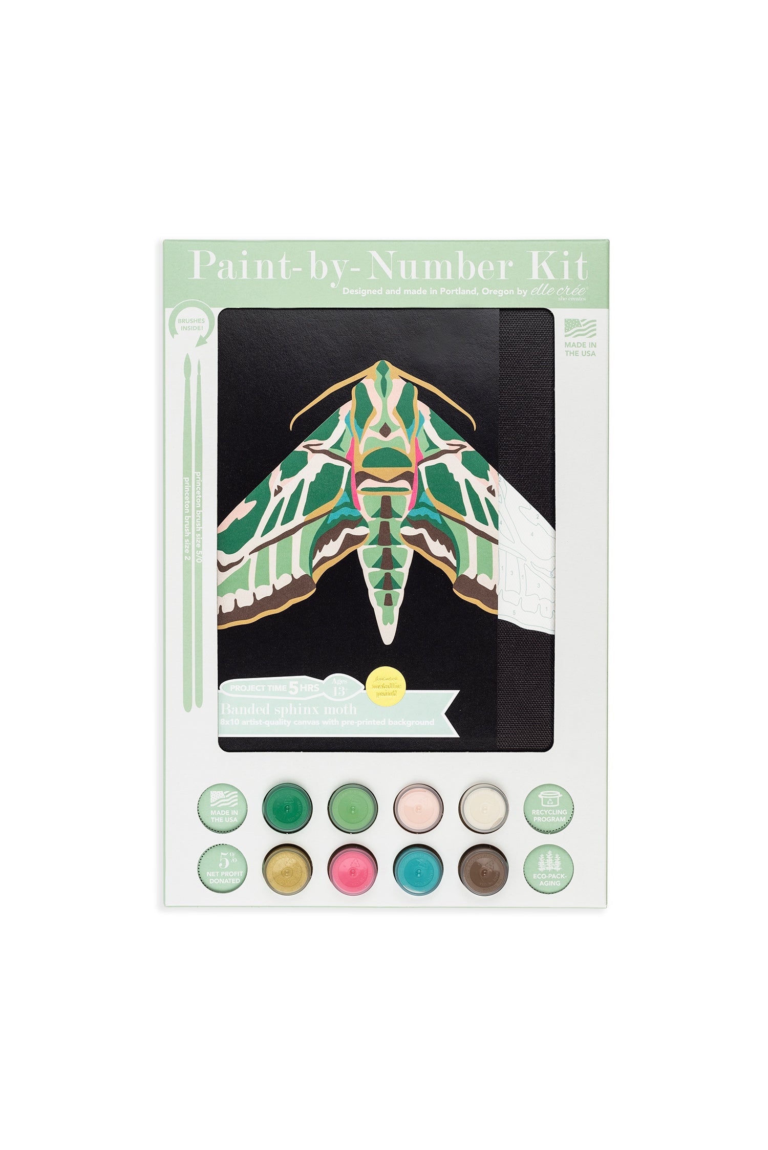 Banded Sphinx Moth Paint-By-Number Kit