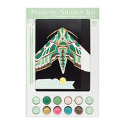Banded Sphinx Moth Paint-By-Number Kit