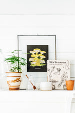 Golden Oyster Mushrooms Paint-By-Number Kit