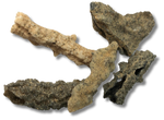 Fulgurite $5.00