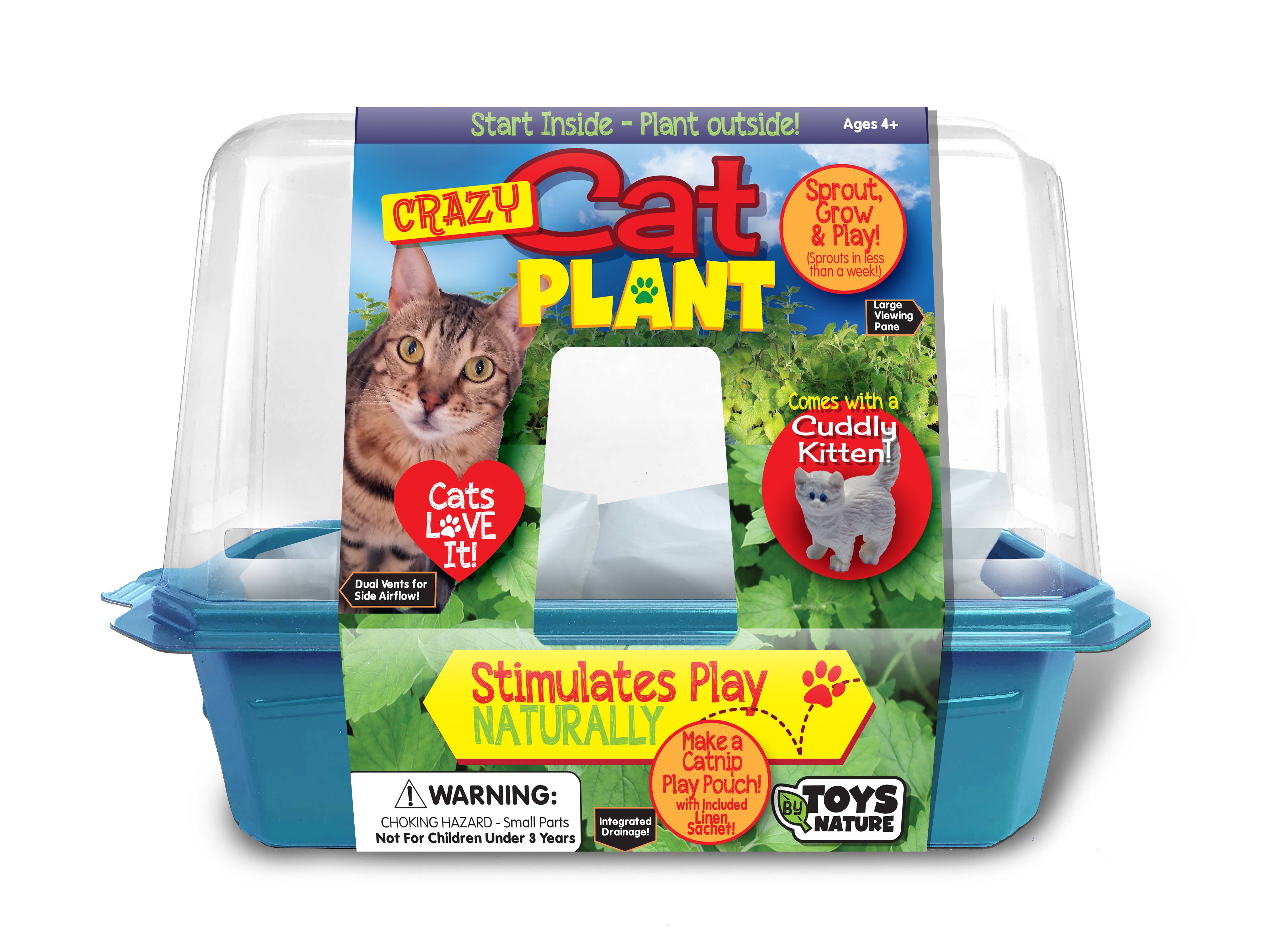 Crazy Cat Plant Mini World Terrarium