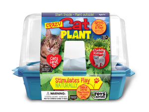 Crazy Cat Plant Mini World Terrarium