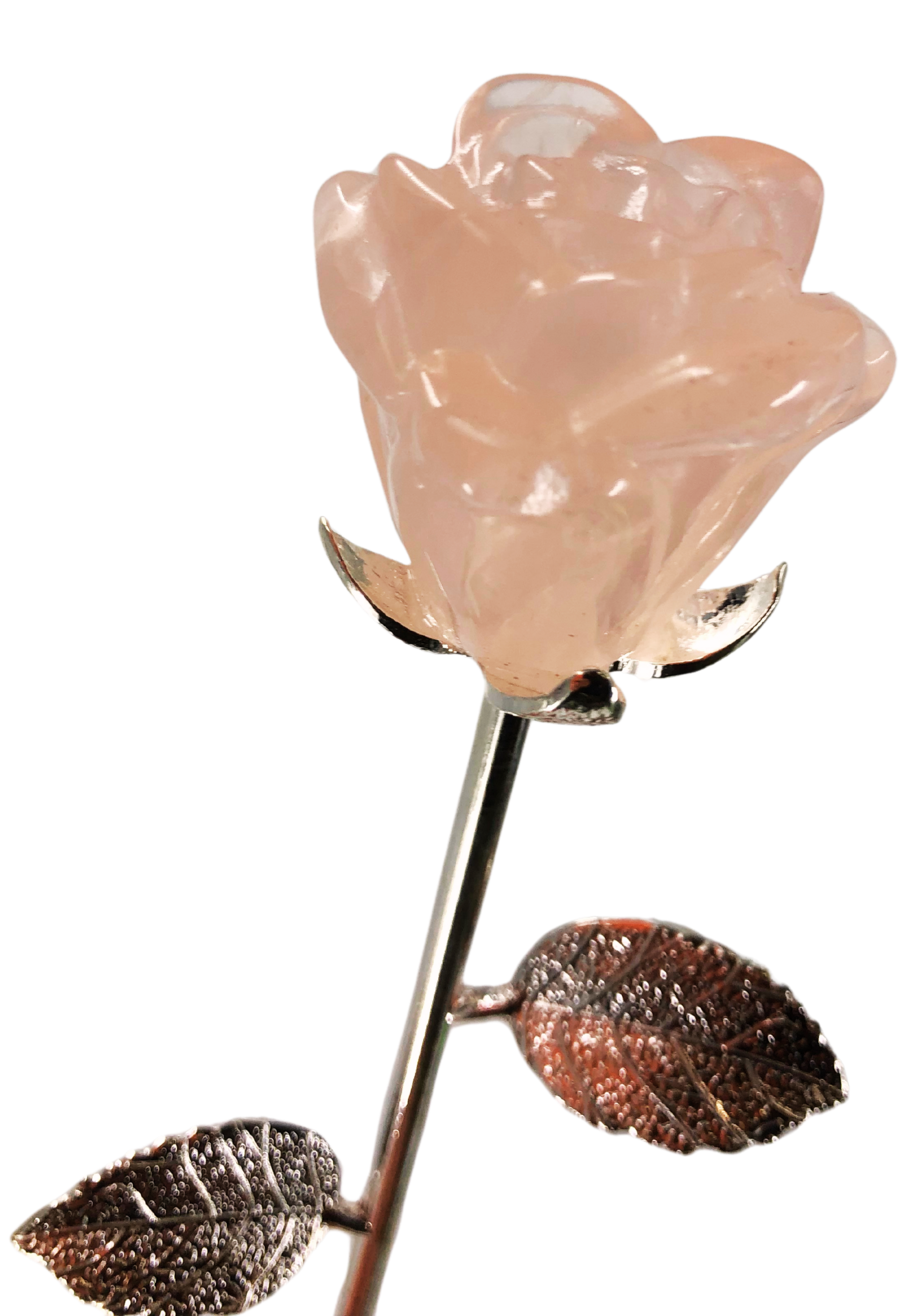 Crystal Rose – The Science Museum of Minnesota