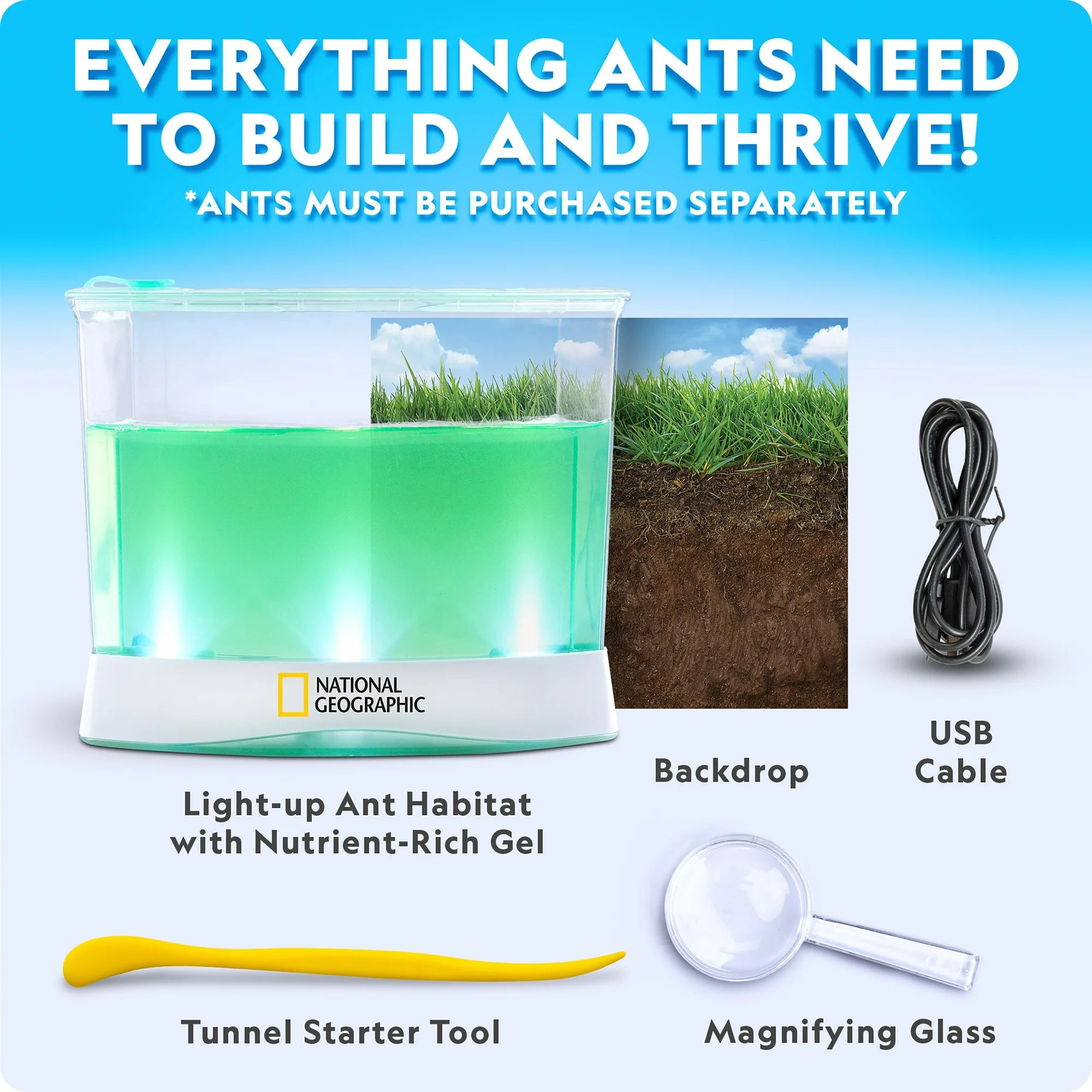 Deluxe Light-Up Ant Habitat