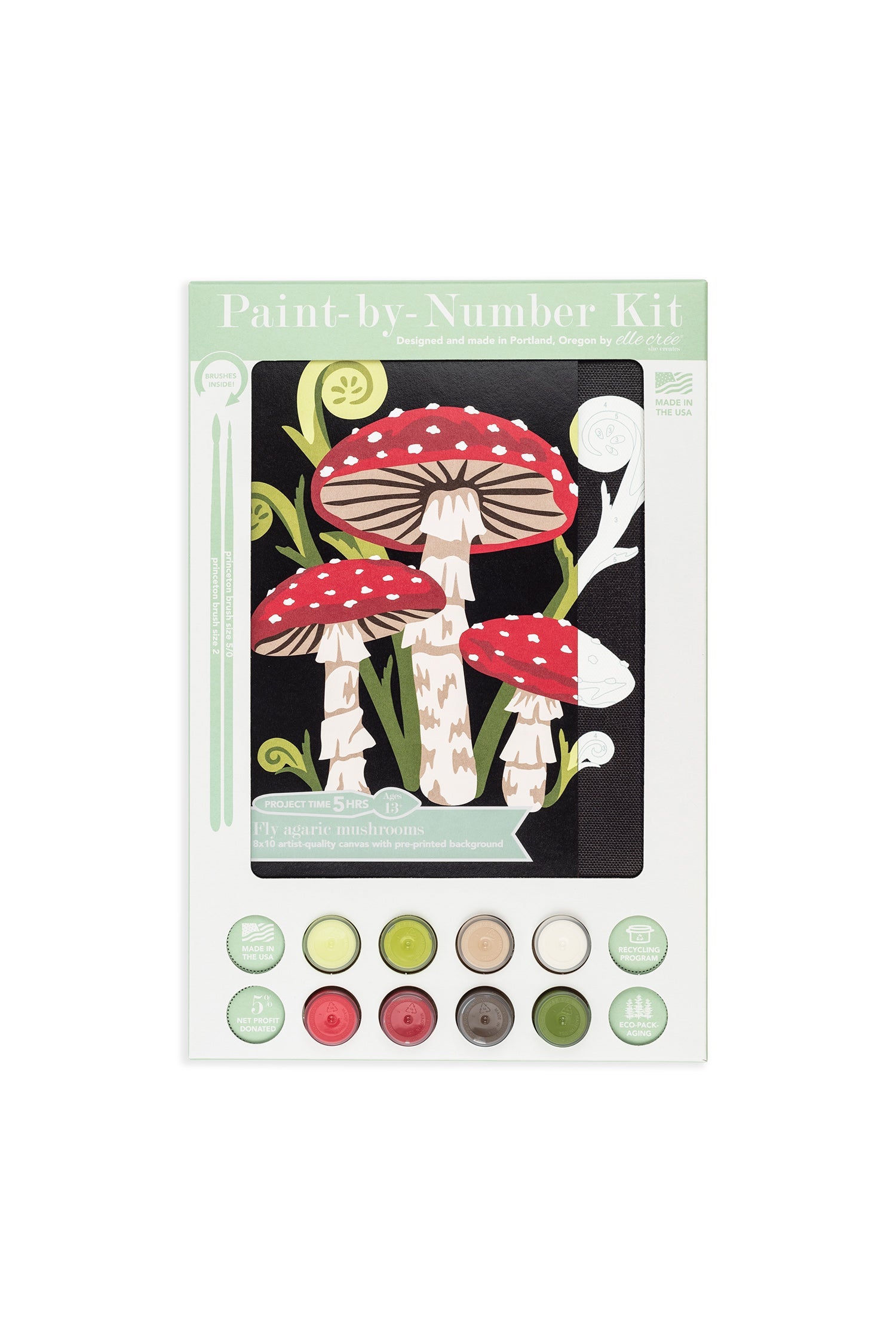 Fly Agaric Mushrooms Paint-By-Number Kit
