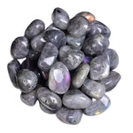 Purple Labradorite $6.00