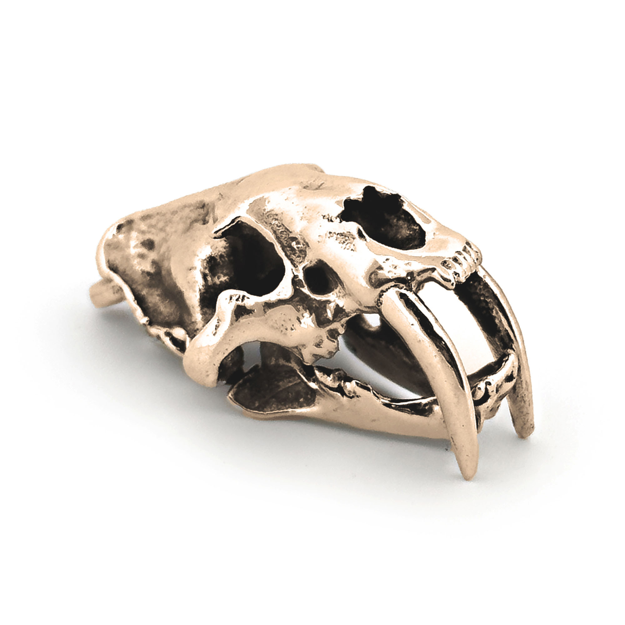 Sabertoothed Cat Necklace with Display Stand