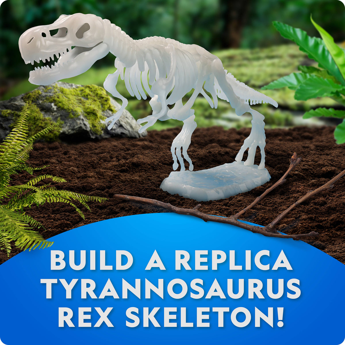 Glow-in-the-Dark T. Rex Skeleton Kit
