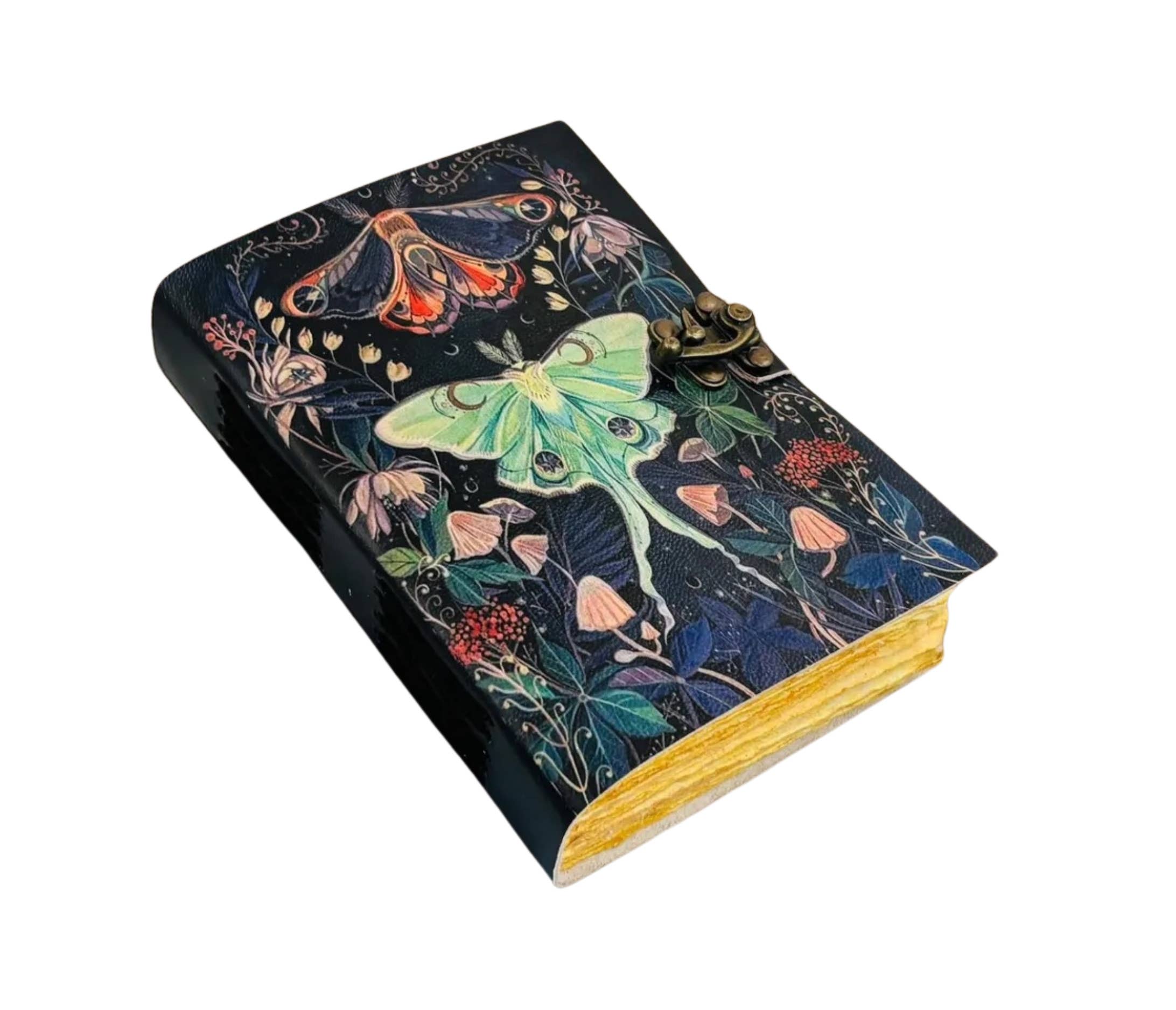 Atlas & Luna Moth Journal