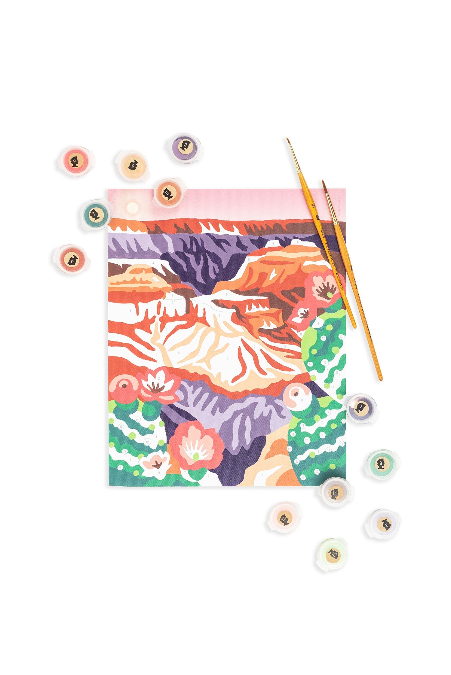 Grand Canyon National Park Paint-By-Number Kit