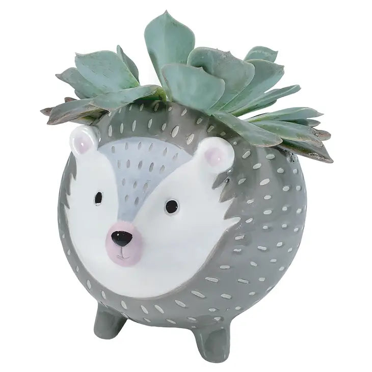 Hedgehog Planter