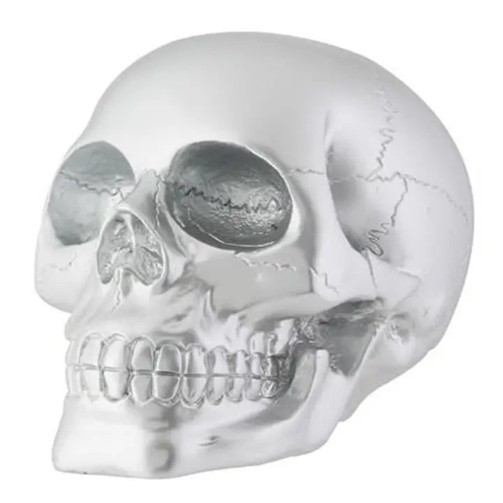 Silver Skull