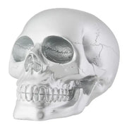 Silver Skull