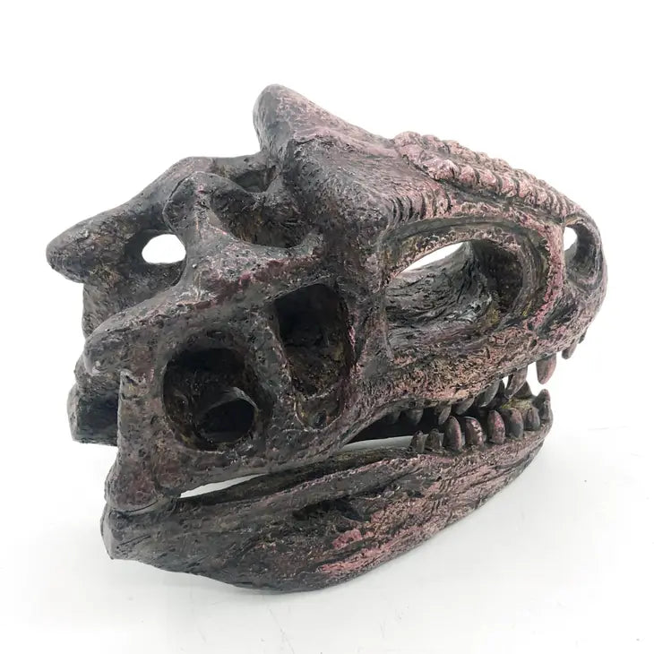 Carnotaurus Mini Skull Replica