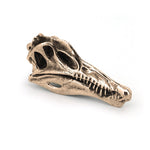 Spinosaurus Necklace with Display Stand