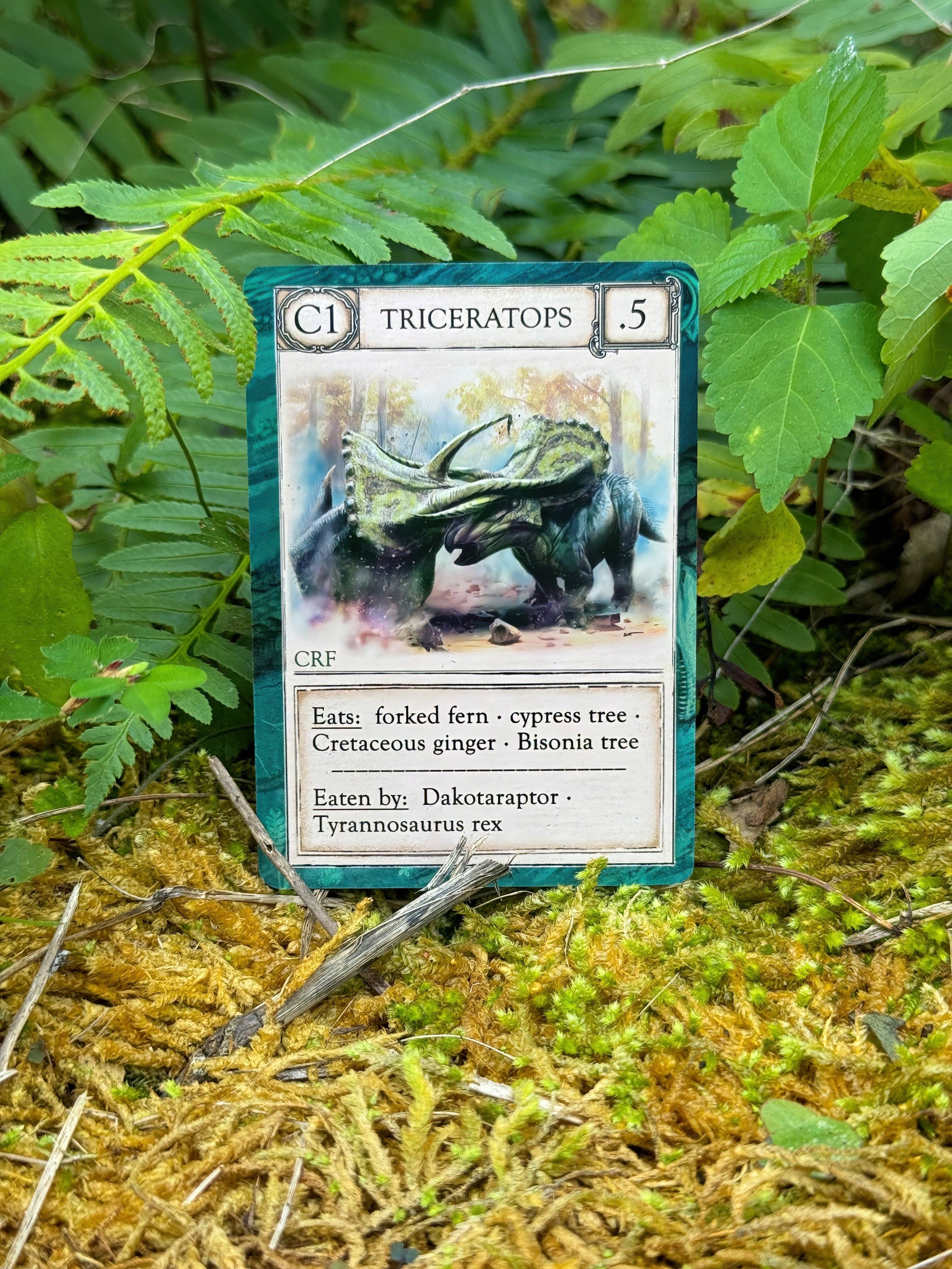 Ecologies: Ancient Areas Card Game