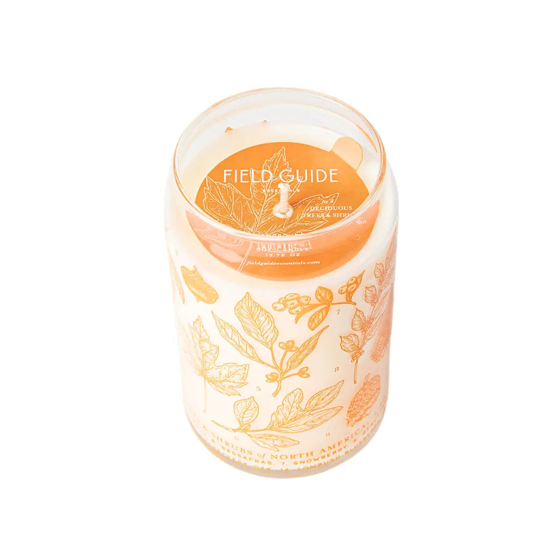 Deciduous Trees Field Guide Soy Candle