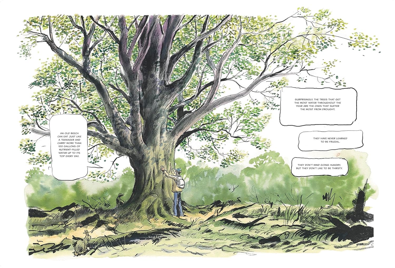 The Hidden Life of Trees: A Graphic Adaptation