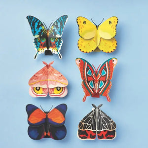 Moth & Butterflies Paper Craft Kit