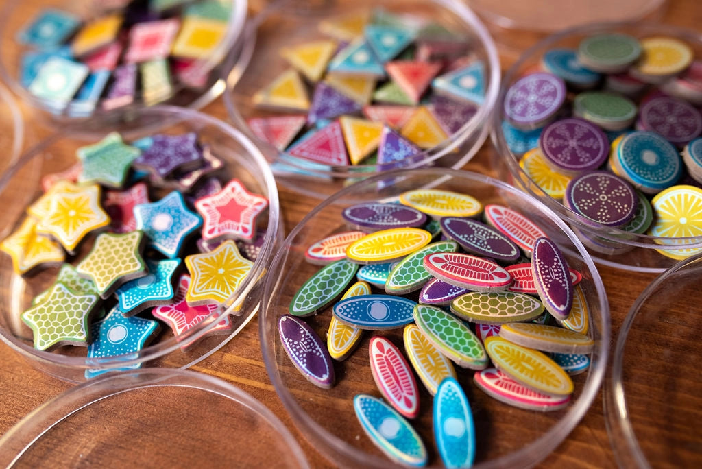 Diatoms: A Game of Microscopic Proportions