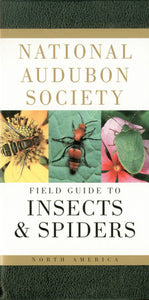 National Audubon Spciety Field Guide to Insects and Spiders