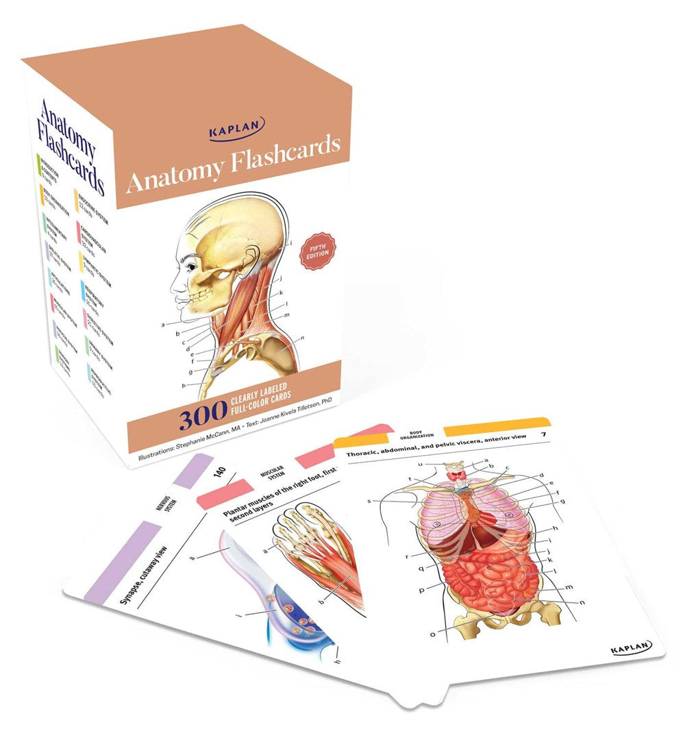 Anatomy Flashcards