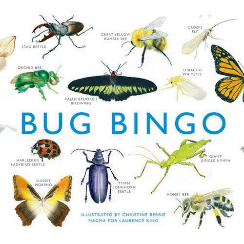 Bug Bingo Game