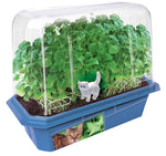 Crazy Cat Plant Mini World Terrarium