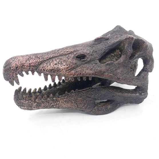 Spinosaurus Mini Skull Replica