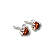 Ladybug Studs in Amber