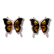 Amber Monarch Studs