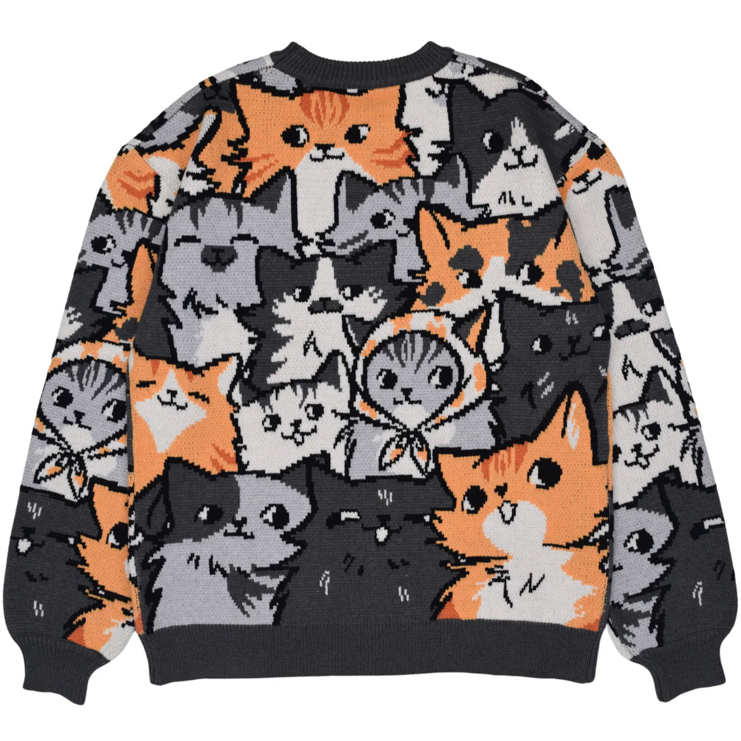 Kitten Sweater