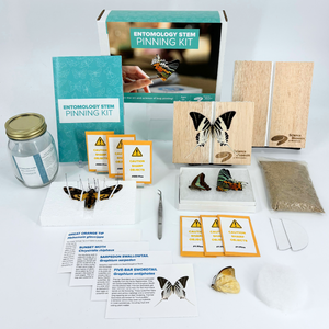 Ultimate Entomology Pinning 5 Piece Gift Set