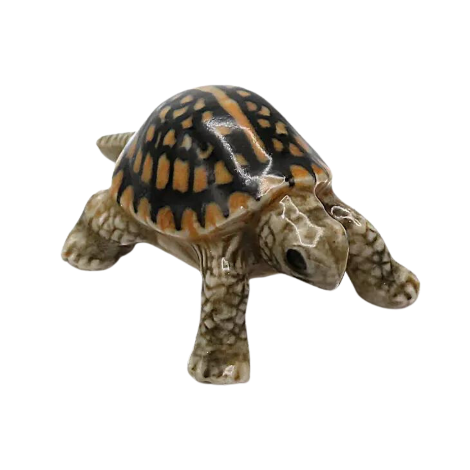 Box Turtle Porcelain Miniature