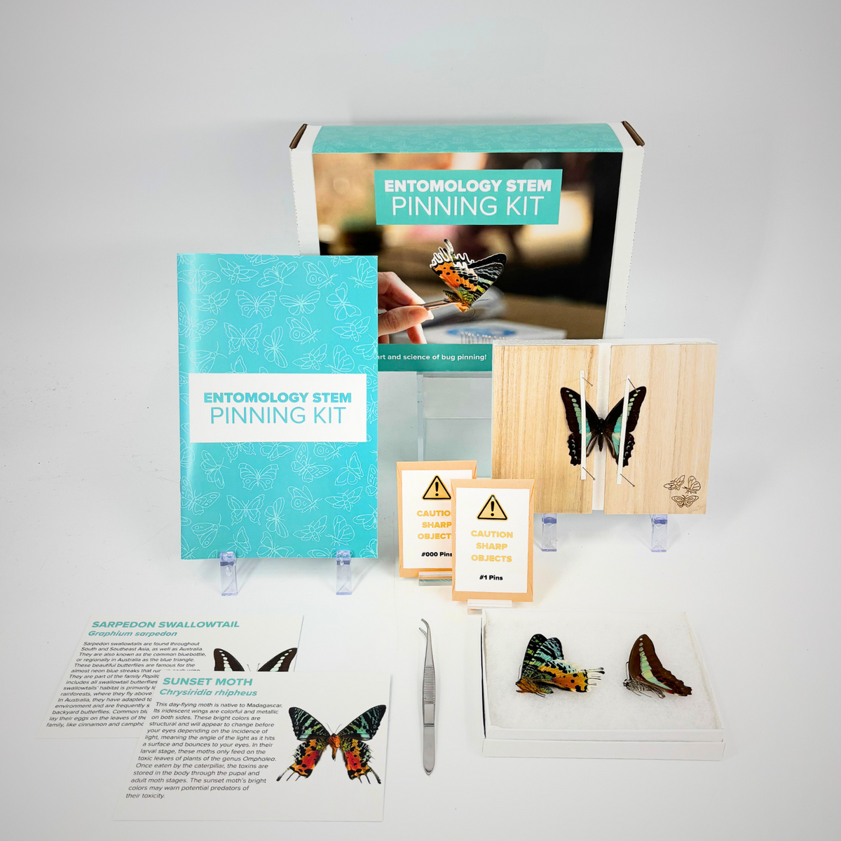 Taxidermy Bugs Edible Bugs 20 Pieces Insect Pinning Kit, Bug Pinning ...