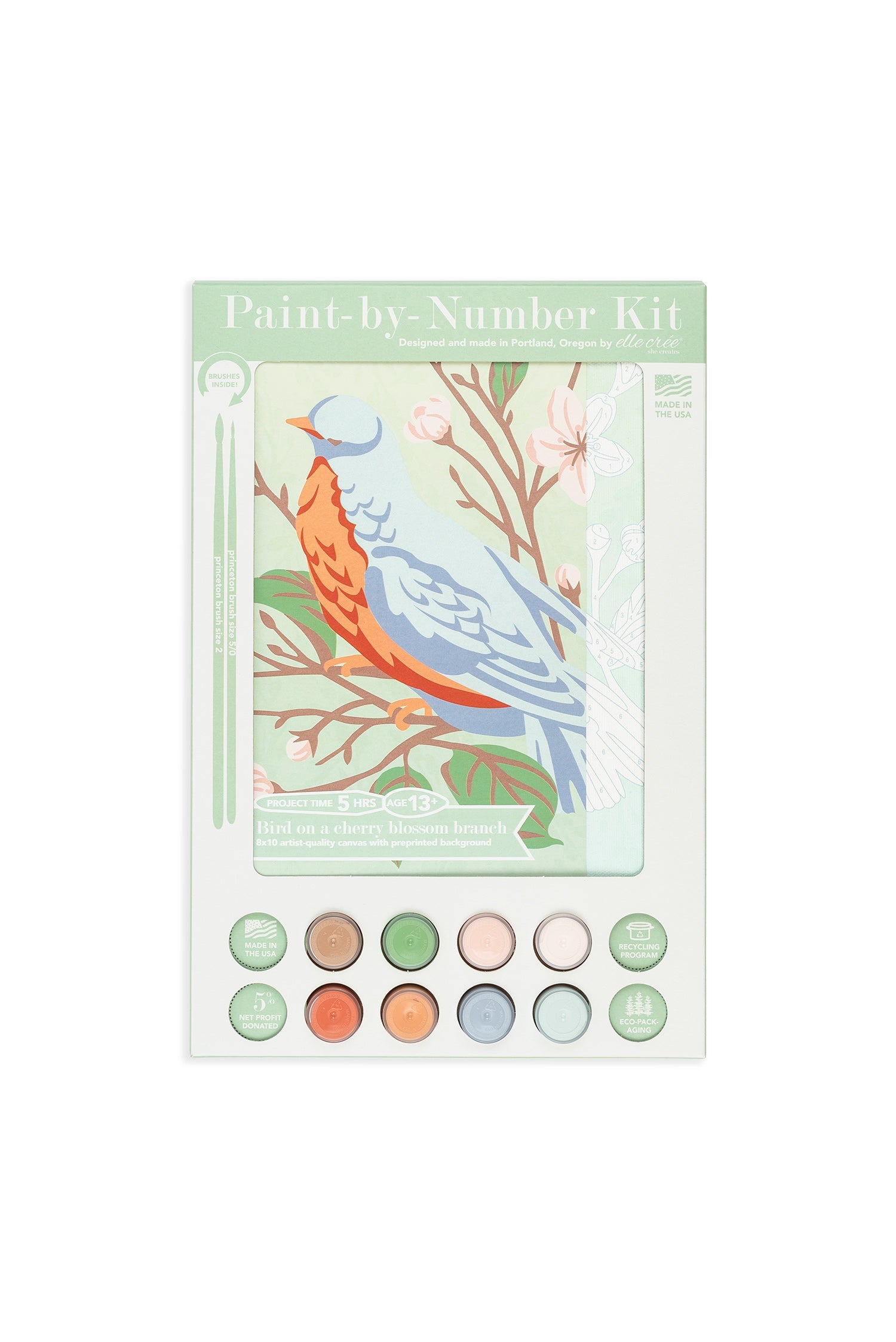 Bird on a Cherry Blossom Branch Paint-By-Number Kit
