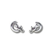 Moon & Cat Studs