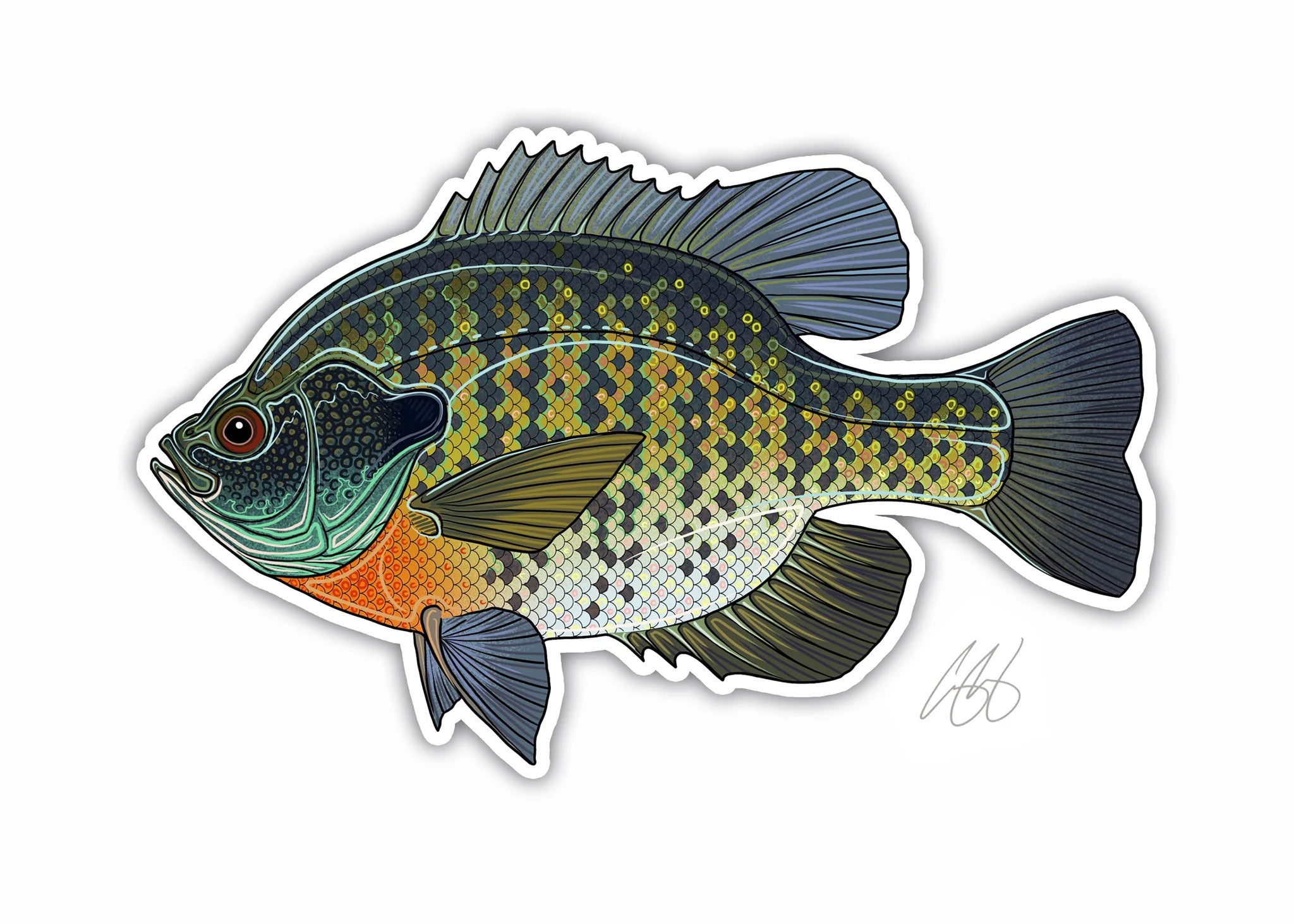 Minnesota Fish Stickers