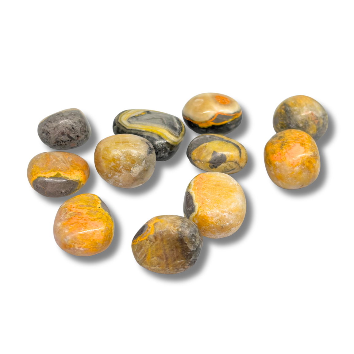 Bumblebee Jasper