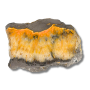 Bumblebee Jasper Slab