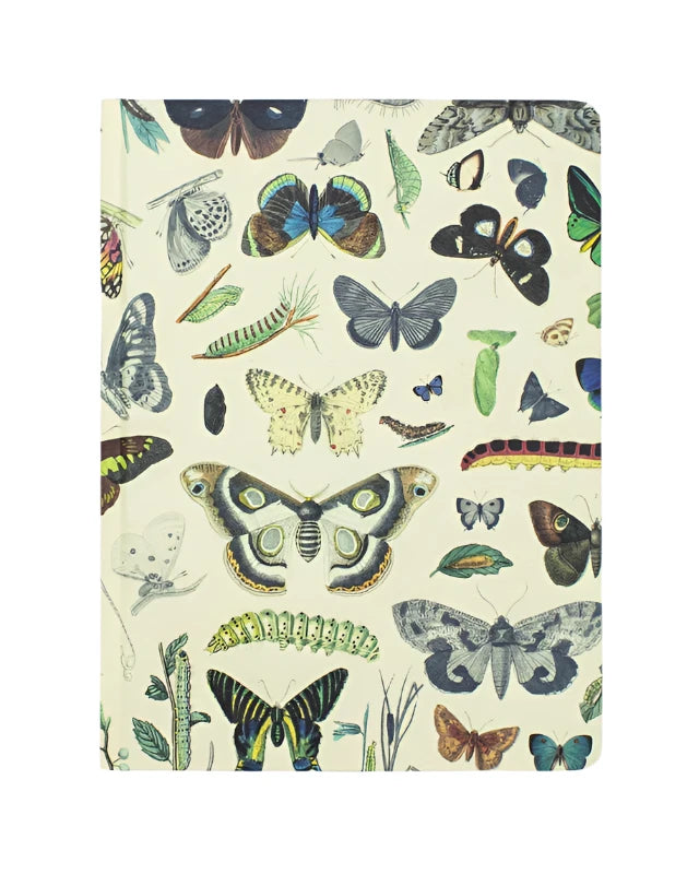 Butterflies Hardcover Notebook