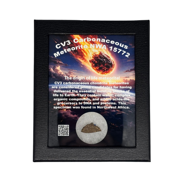 CV3 Carbonaceous Meteorite Box – The Science Museum of Minnesota