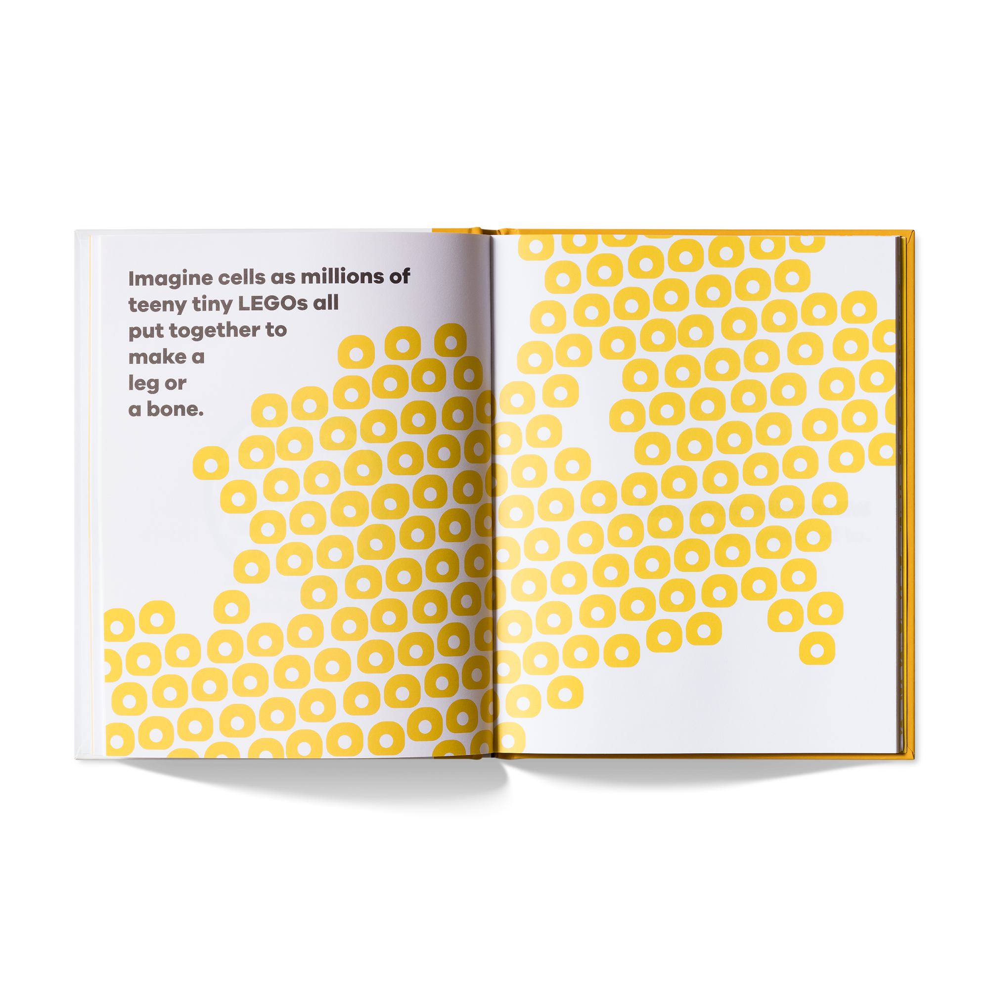 A Kids Book About Cancer