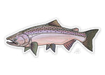 Minnesota Fish Stickers